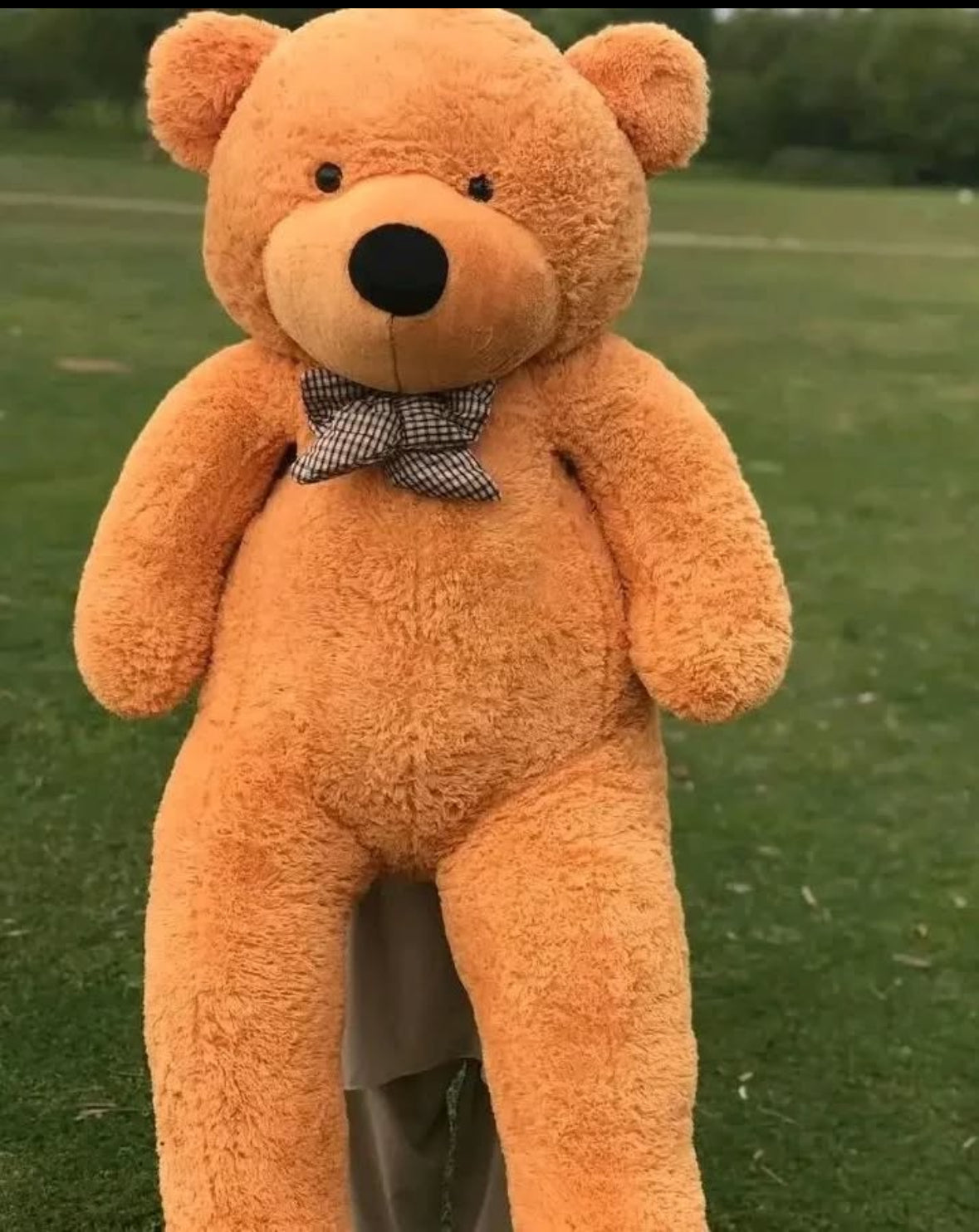 6 Feet Teddy Bear