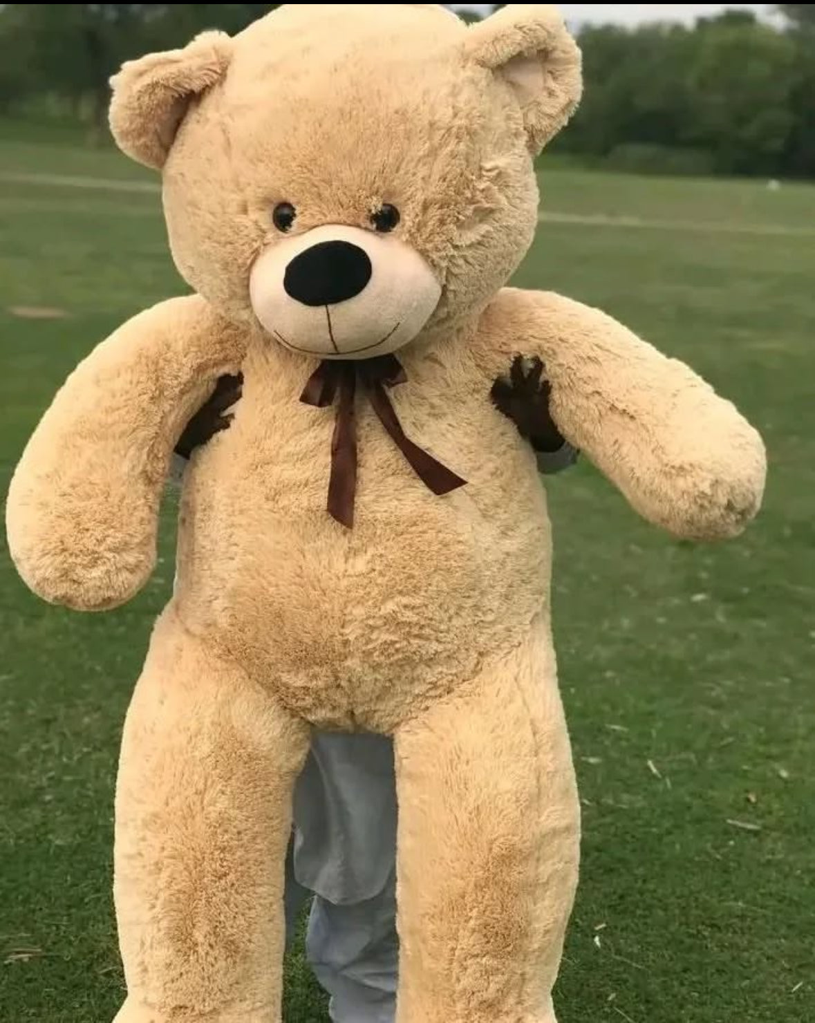 6 Feet Teddy Bear